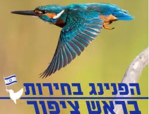 הפנינג בחירות בראש ציפור