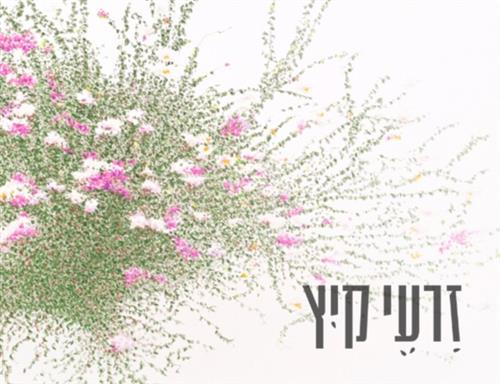 זרעי קיץ - סדרת מפגשי תרבות ותוכן