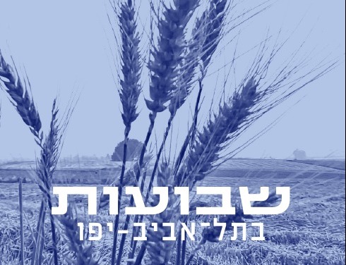 TED דיברות לשבועות
