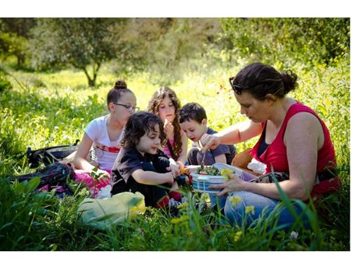סיור ליקוט בחגיגות השנה ליער המאכל