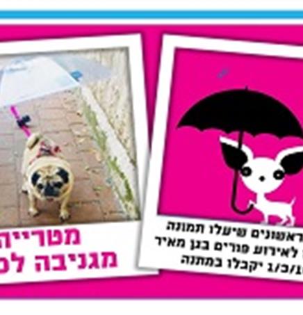 מטרייה מגניבה לדיגידוגים עיריית תל אביב יפו