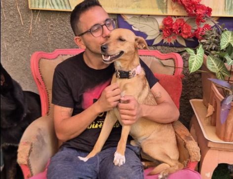 סדנת כלבנות טיפולית לכיתות ד'-ו'
