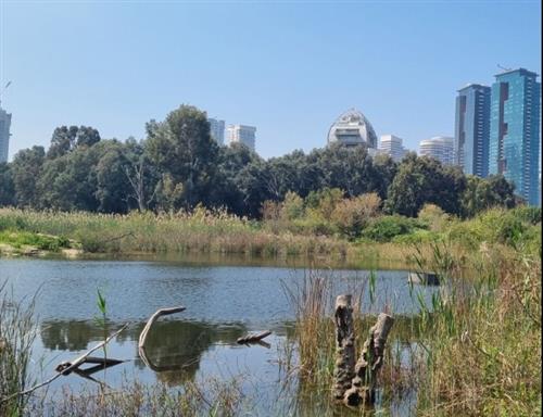 יום שמירת איכות הסביבה למשפחות