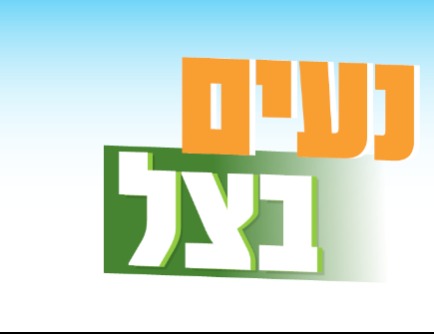 נעים בצל - אימון צ'י קונג באוויר הפתוח