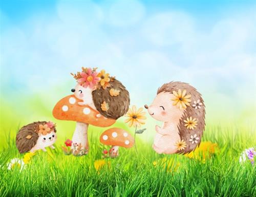 על קיפודים וחברים