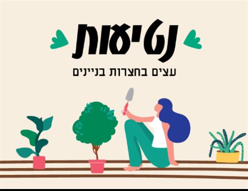 נטיעת עצים בחצרות-צוקי אביב ונופי ים#2