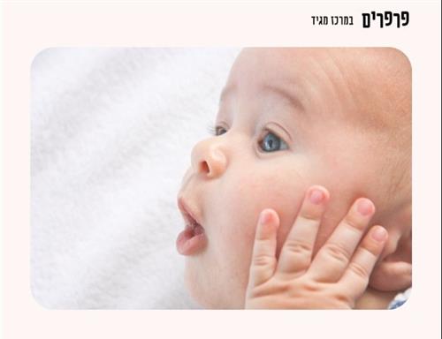 פרפרי צהריים - לידה עד עמידה