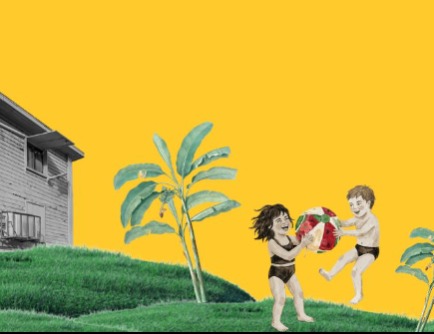 קיץ בחורשת סוטין