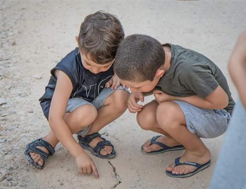 חמשת החושים על גדות הירקון