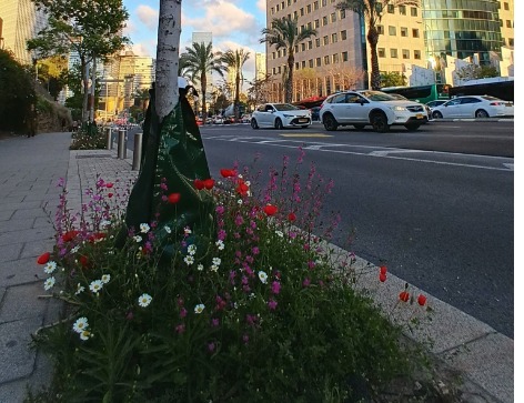 הפנינג טבע בנחל פרדסים