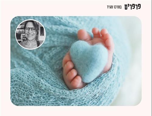סדנה להתפתחות פרפר נולד יוני-יולי בנמל