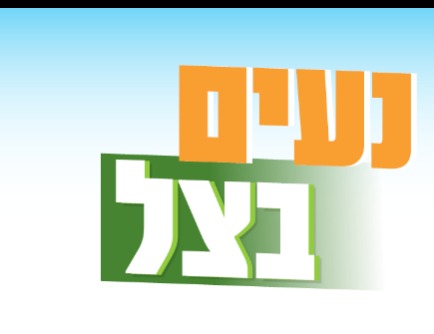 נעים בצל - אימון צ'י קונג באוויר הפתוח
