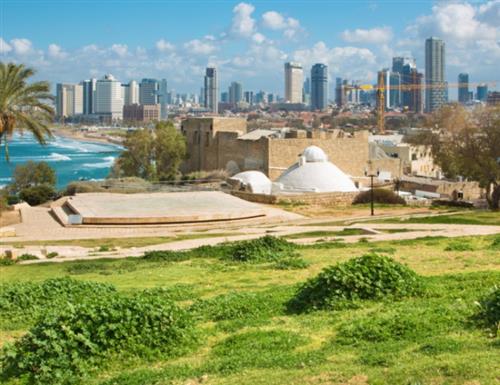 סיור ניטור בגן הפסגה יפו