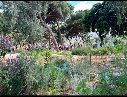 כיס בריאות גונדה מזמין למשחקי אדמה