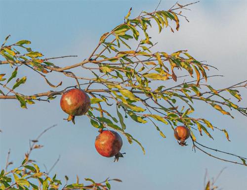 בין סתיו לחורף בפארק בגין