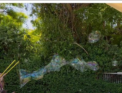 סדנת בועות סבון במדשאות הבריכה