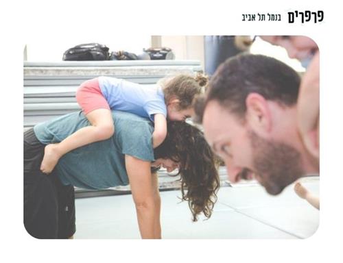 קונטקידס בנמל