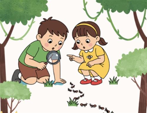 משחקים בחומרים מהטבע