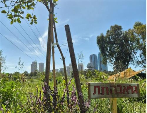חידון אקולוגי וסדנת יצירה ביער המאכל