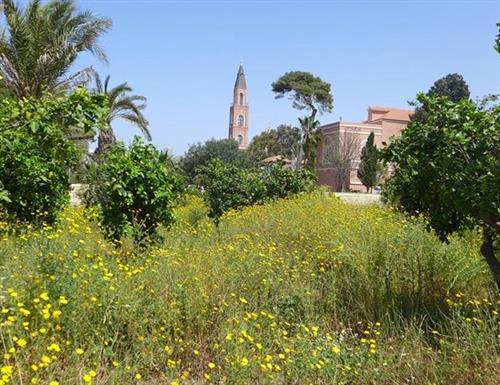 סיור ניטור בפארק החורשות