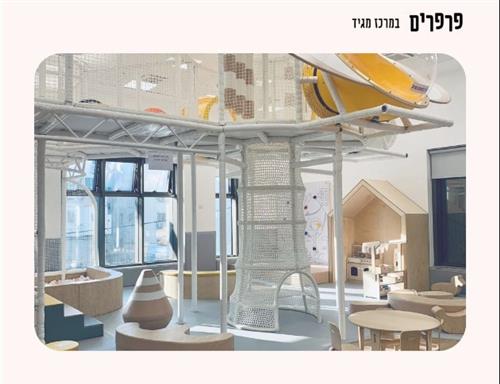 בוקר זורם עם נועה גרוס