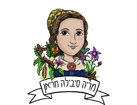 סדנה "סודות הפרפרים" גילי 4 - 8