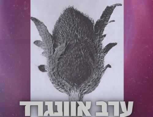 ערב אוונגרד