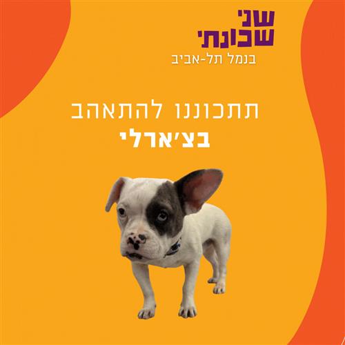 יום אימוץ כלבים בשני שכונתי
