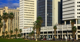 קידום עסקים